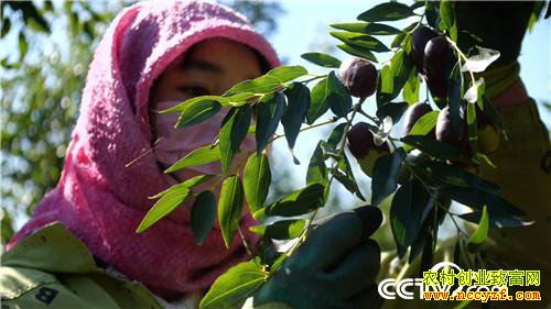 [�¸���]����ͷ�� ���˲Ƹ� ���ѻ�ɳ��ƽ� 20181119 