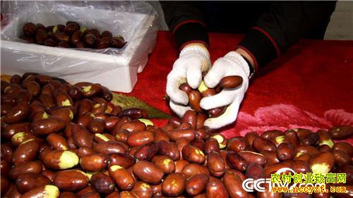 [�¸���]����ͷ�� ���˲Ƹ� ���ѻ�ɳ��ƽ� 20181119 