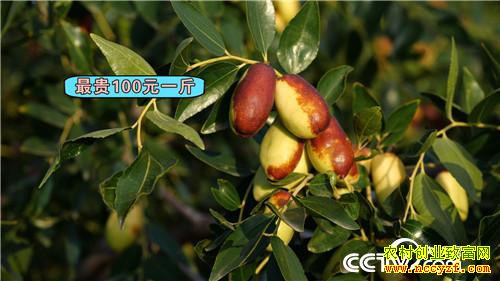 [�¸���]����ͷ�� ���˲Ƹ� ���ѻ�ɳ��ƽ� 20181119 