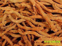 ���ζ���Ǯһ�2019��3��3�����µ��μ۸�����