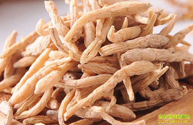 ̫�Ӳζ���Ǯһ�2018��11��26��̫�Ӳμ۸�����