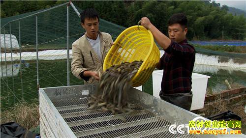 [�¸���]2��Ԫ2Ķ�� �����ֱ���ӭ��ǧ��� 20181121 