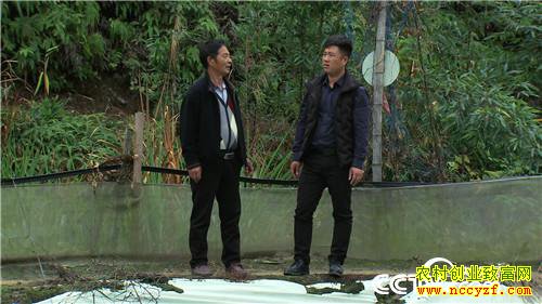 [�¸���]������ƽ����������2��Ԫ2Ķ��һ������ǧ��Ԫ