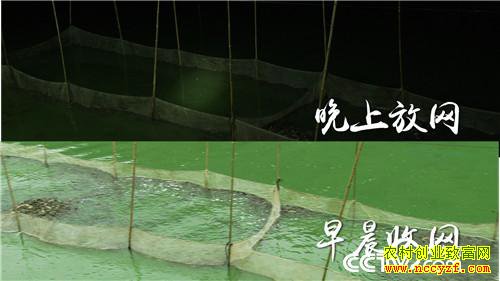 [�¸���]2��Ԫ2Ķ�� �����ֱ���ӭ��ǧ��� 20181121 