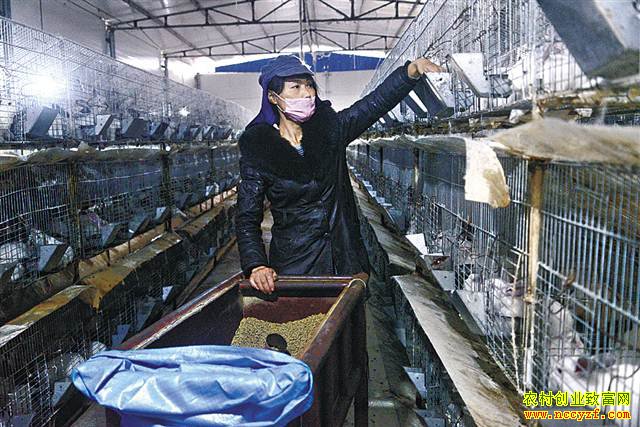 �����뽭�̱�������ͥũ������������ǧ��Ԫ