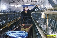 �����뽭�̱�������ͥũ������������ǧ��Ԫ