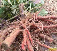 ɽ�����δ�������� 2018�����µ��μ۸��δ����������