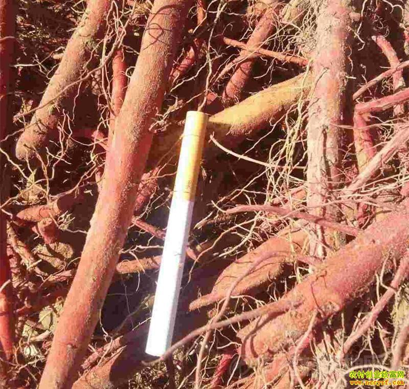 ���ص����ʻ����δ�׳