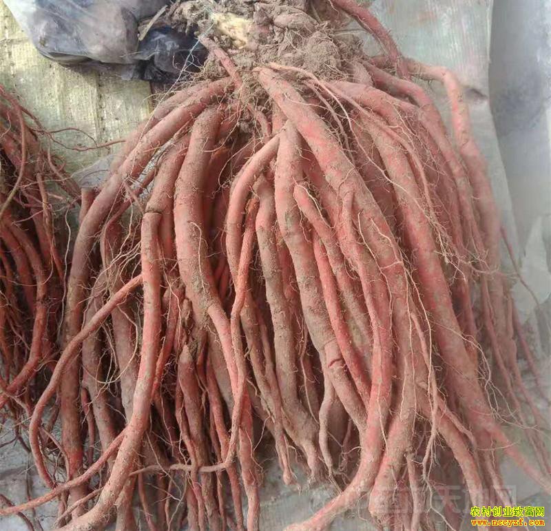 ��̩�в��������ʻ���̬׳˶