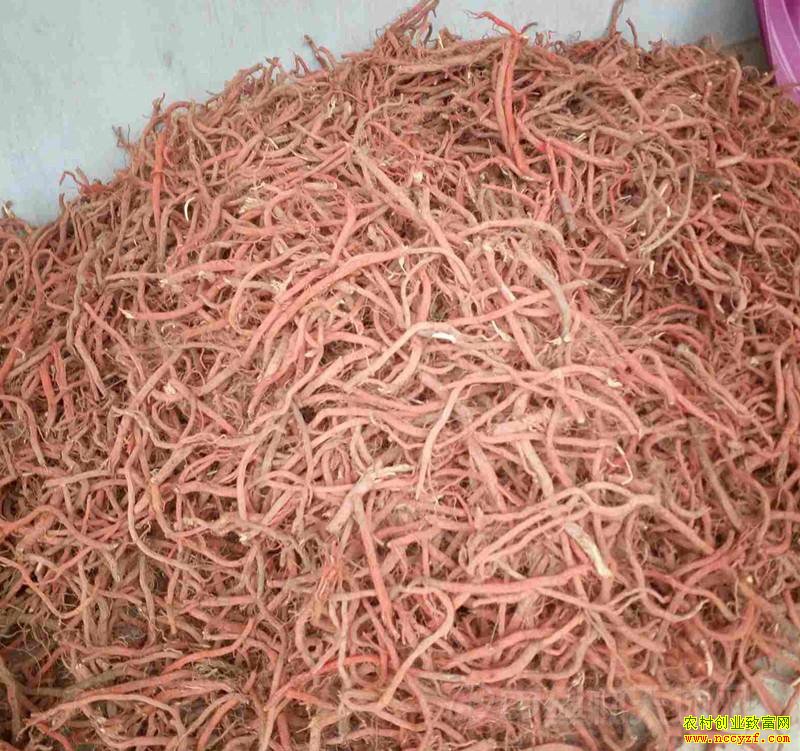 �����������ص����»�����