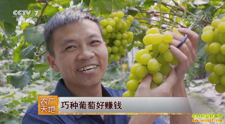 [ũ�����]�������Ѻ�׬Ǯ 20181126