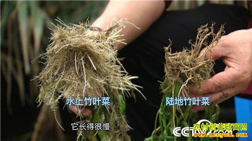 �¸�����ˮ����Ư���ĲƸ�(20171120)