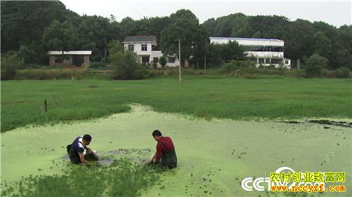 �¸�����ˮ����Ư���ĲƸ�(20171120)