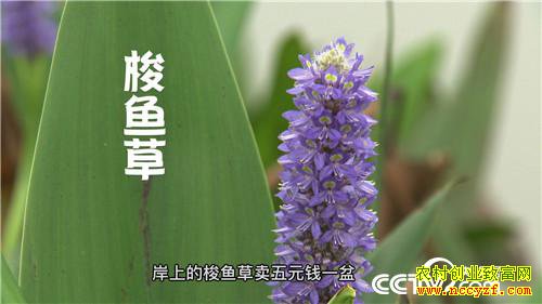 �¸�����ˮ����Ư���ĲƸ�(20171120)