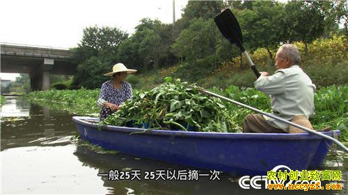 �¸�����ˮ����Ư���ĲƸ�(20171120)