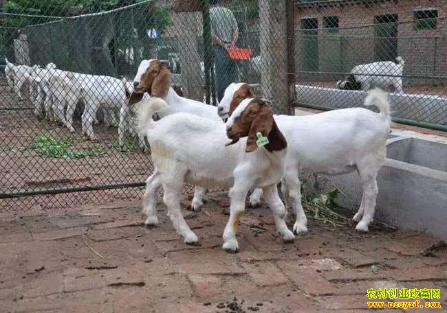 ������׬Ǯ������ɽ��׬Ǯ��