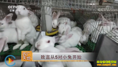 [ũ�����]�ӱ���¹���������¸�����ֳ���С�ÿ�ʼ