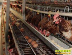 ����ͭ��������������������������ʮ����