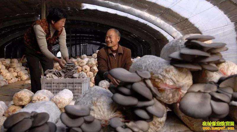 ��������ũ�������������Ģ�������¸�ɡ