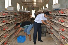 ������ֳ�������⼰������֮����������ֳ���ղأ�