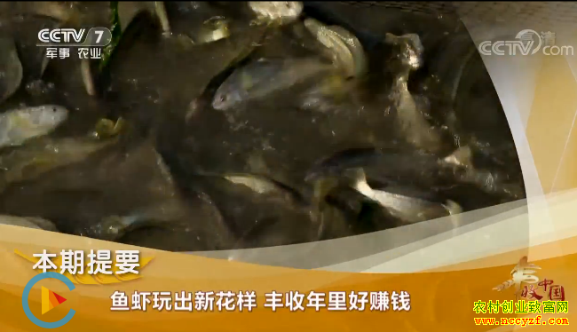 [�¸���]��Ϻ����»��� ���������׬Ǯ 20180921