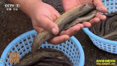 [ÿ��ũ��]��������ô���ܶ�׬Ǯ��˳Ӧ�г� ��������