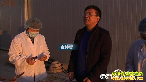 [�¸���]�����ڵ��� �����ڵ��� ׬���ڵ�Ǯ 20181203 