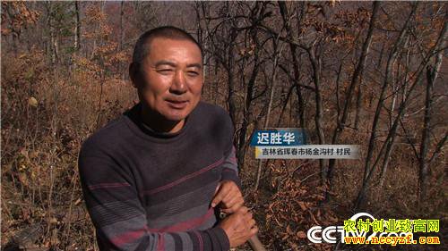 [�¸���]�����ڵ��� �����ڵ��� ׬���ڵ�Ǯ 20181203 