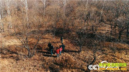 [�¸���]�����ڵ��� �����ڵ��� ׬���ڵ�Ǯ 20181203 