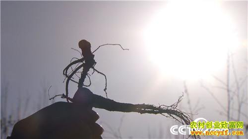 [�¸���]�����ڵ��� �����ڵ��� ׬���ڵ�Ǯ 20181203 