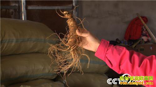 [�¸���]�����ڵ��� �����ڵ��� ׬���ڵ�Ǯ 20181203 