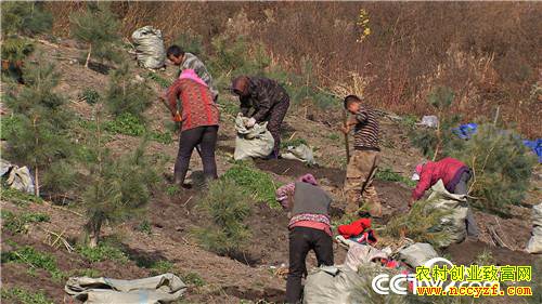 [�¸���]�����ڵ��� �����ڵ��� ׬���ڵ�Ǯ 20181203 