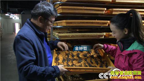 [�¸���]�����ڵ��� �����ڵ��� ׬���ڵ�Ǯ 20181203 