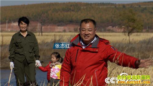 [�¸���]ˮ������ʯͷ�� ������������С����־�챿��׬��Ǯ