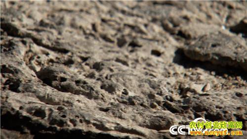 [�¸���]�Ƹ�����ʯͷ�� ��С�ﱿ��׬��Ǯ 20181204 