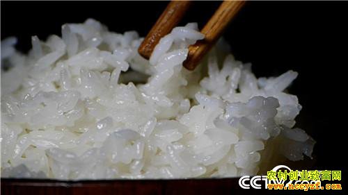 [�¸���]�Ƹ�����ʯͷ�� ��С�ﱿ��׬��Ǯ 20181204 