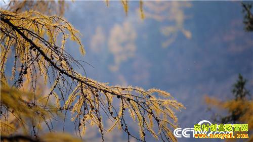 [�¸���]�Ƹ�����ʯͷ�� ��С�ﱿ��׬��Ǯ 20181204 