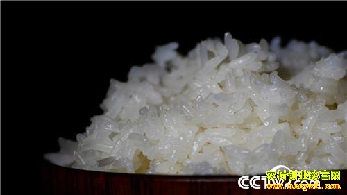 [�¸���]�Ƹ�����ʯͷ�� ��С�ﱿ��׬��Ǯ 20181204 