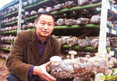 �Ĵ������ܹ�����׼�г��հ���ֲ����׬��Ǯ