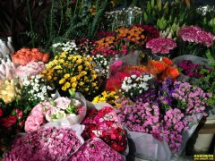 �ٽ�������л��г����� �ʻ��۸���������