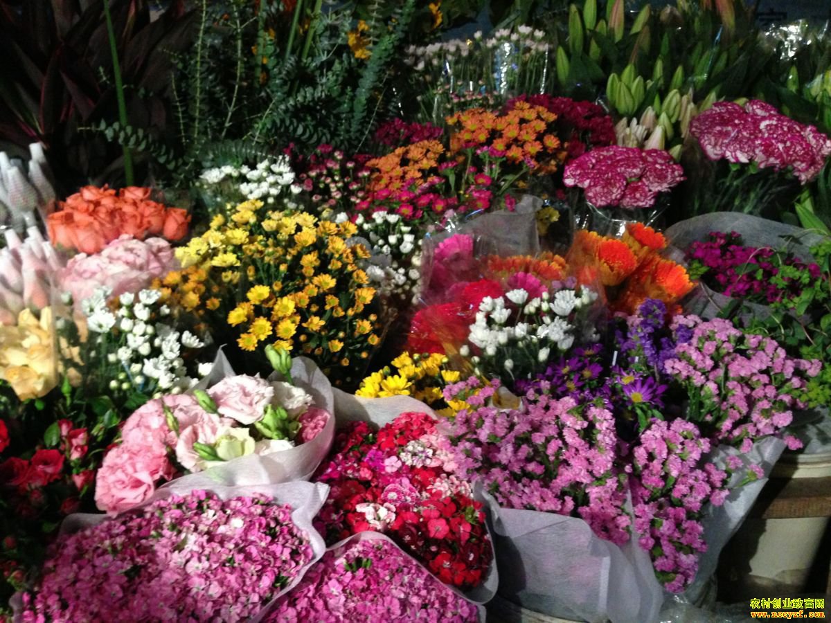 �ٽ�������л��г����� �ʻ��۸���������