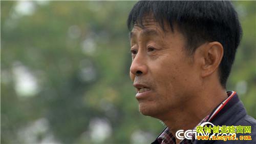 [�¸���]������� ������������3000�� 20181205 