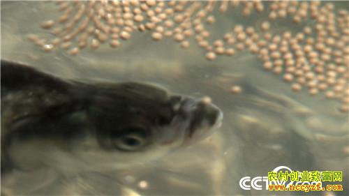 [�¸���]������� ������������3000�� 20181205 