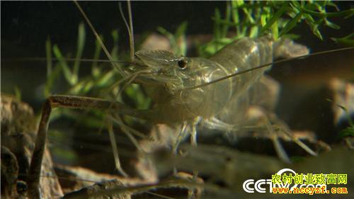 [�¸���]������� ������������3000�� 20181205 