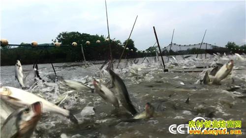 [�¸���]������� ������������3000�� 20181205 