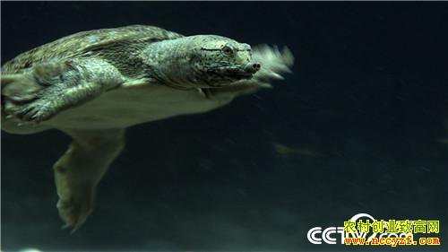 [�¸���]������� ������������3000�� 20181205 