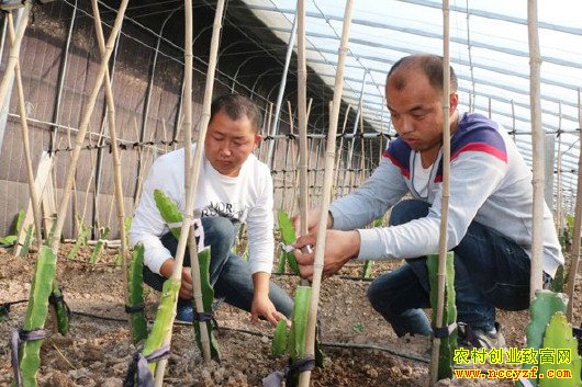 ɽ�������Կ�ΰ������ֲ���������Ϲ����֡������¸�·