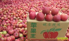 ���������ش�ѧ��κǬ��ƽ̨������ƻ��