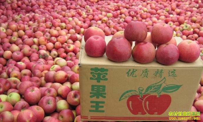 ���������ش�ѧ��κǬ��ƽ̨������ƻ��