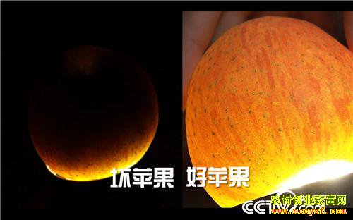 [�¸���]��ƻ���۸� ȫ��һ�� 20181206 